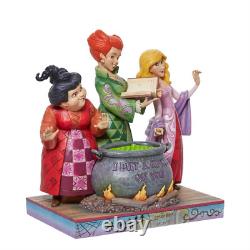 Disney Traditions Jim Shore 2023 Hocus Pocus Sanderson Sisters Fig. 6011939 NIB