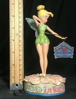 Disney Traditions Tinkerbell Let Your Dreams Blossom 4005221 BOXED Jim Shore