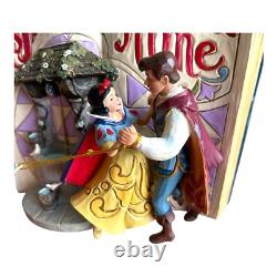 Enesco Disney Traditions Jim Shore Snow White Wishing on a Dream Storybook Box