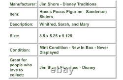 Jim Shore Disney HOCUS POCUS Sanderson Sisters 6011939 I Put A Spell On You 92