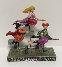 Jim Shore Disney Traditions Hocus Pocus Flying Sanderson Sisters/READ