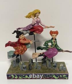 Jim Shore Disney Traditions Hocus Pocus Flying Sanderson Sisters/READ