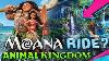 Moana Ride Coming To Disney S Animal Kingdom Details U0026 Layout Disney News
