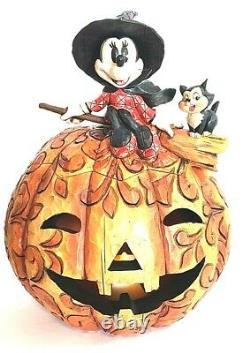 NEW Enesco Jim Shore Disney Traditions Minnie Mouse A SPELLBINDING HALLOWEEN