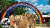 The Failed U0026 Forgotten History Of Hanna Barbera Land Houston The 80 S New Generation Theme Parks
