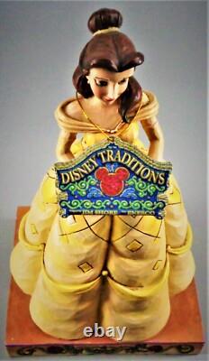 Disney Traditions Belle beauté érudite avec livre Jim Shore Enesco 6002818