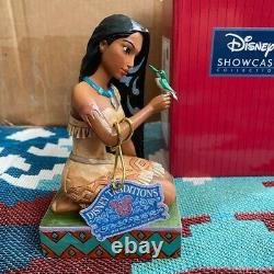 Disney Traditions Jim Shore Free Et Fierce Pocahontas Avec Figurine D'oiseau Rare
