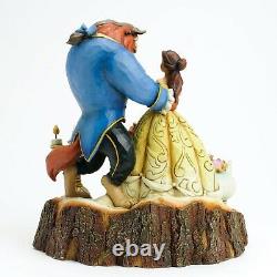 Enesco Disney Traditions Série Sculptée Par Jim Shore Tail Aussi Vieux Que Le Temps 4031487