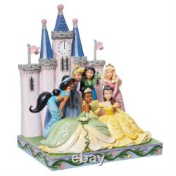 Enesco Jim Shore Traditions Disney Groupe de princesses devant le château 6013075 NIB