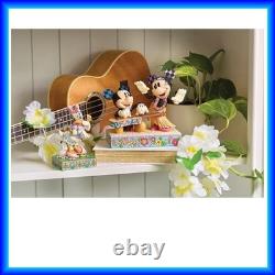 NOUVELLE Collection Enesco Disney Traditions par Jim Shore Mickey et Minnie Mouse dans
