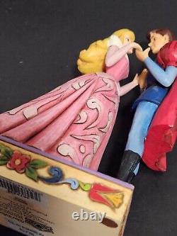 Thème de l'amour des traditions Disney de Jim Shore AURORA & PHILLIP True Love Enesco Sans boîte