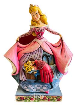 Traditions Disney Jim Shore Statue de la Belle au Bois Dormant avec le Baiser du Véritable Amour - Article n°4011738